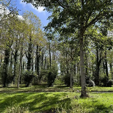 Сasa de vacaciones Lo Casalar Nogueres